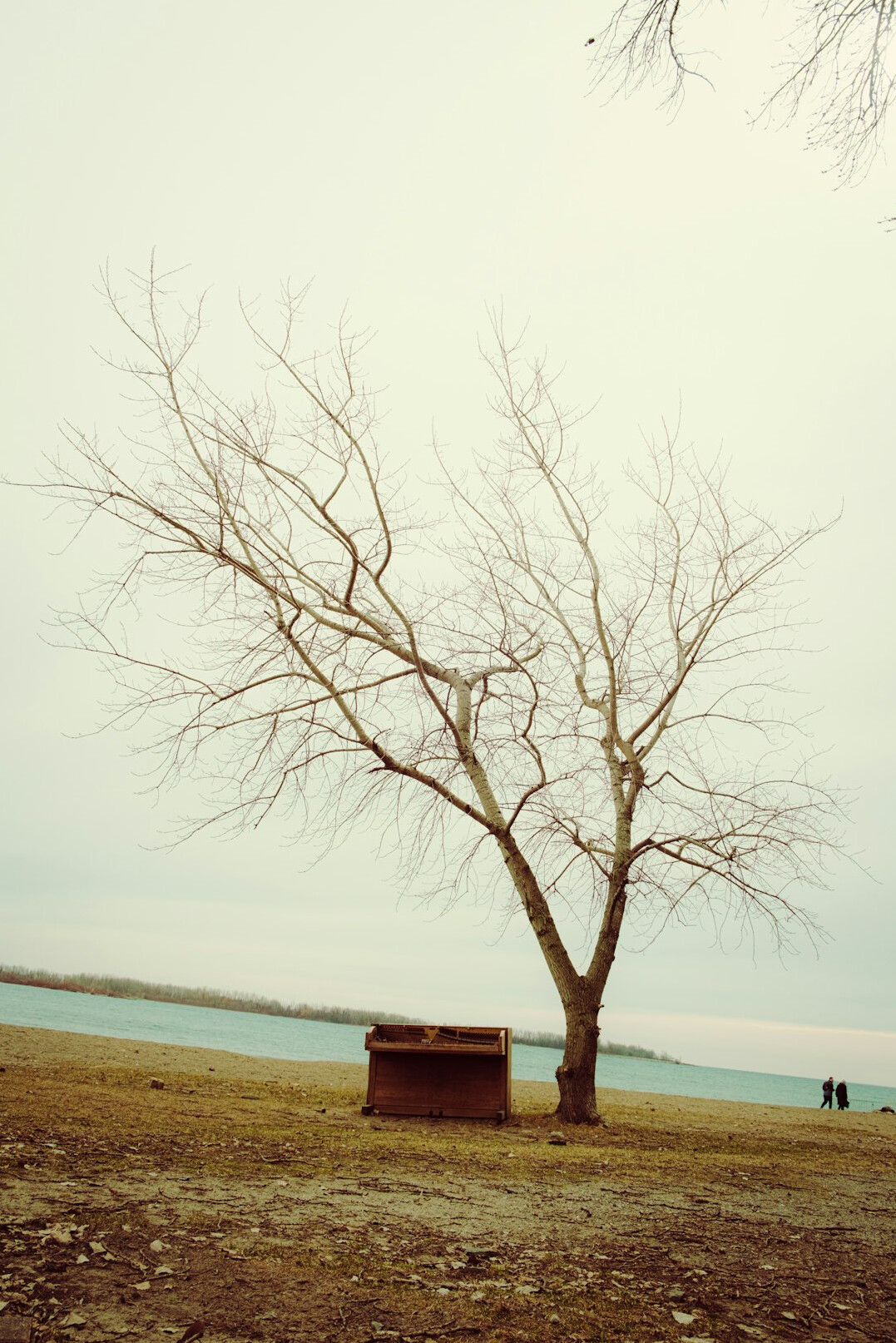 person reflecting in quiet space